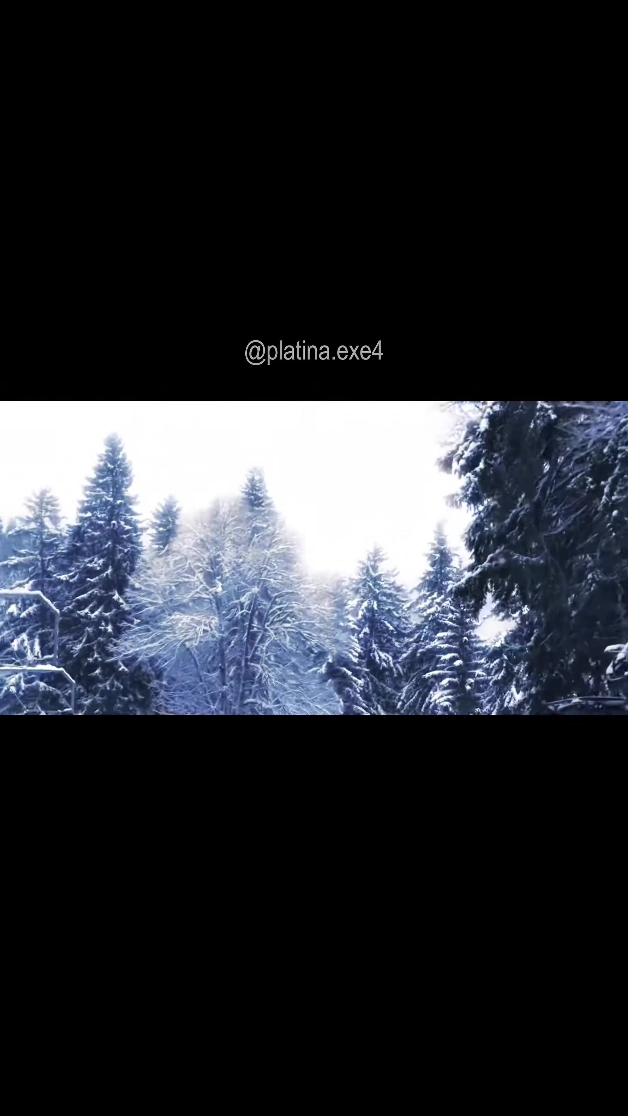@platina.exe