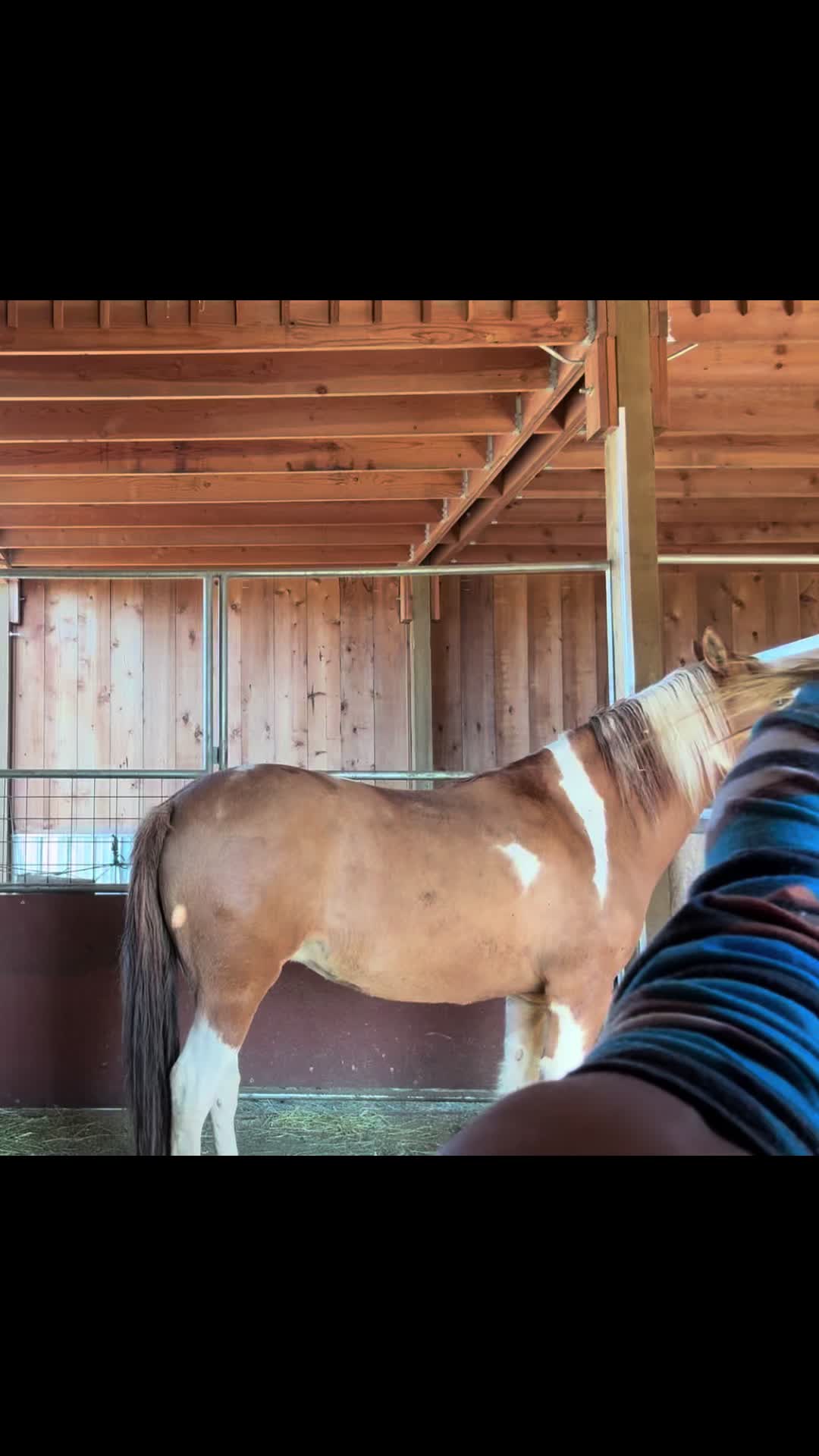 @Cowgirl Tuff Colt Training ❤️
