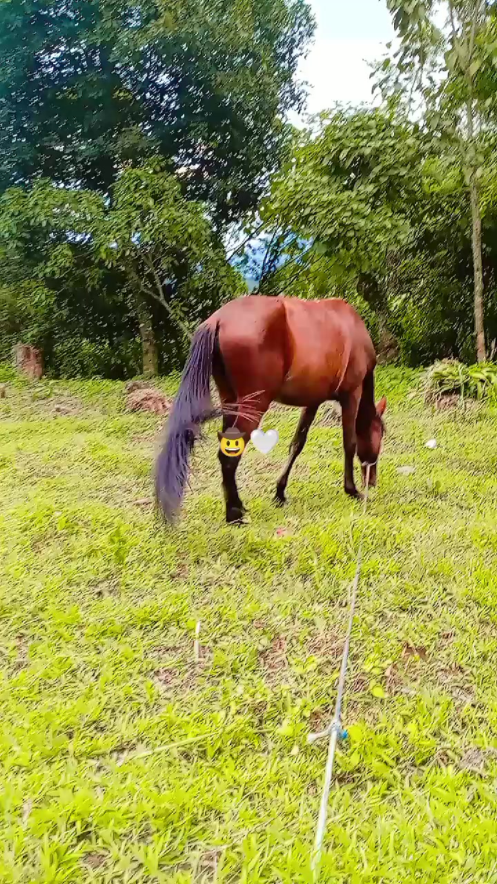 @Gerson sosa