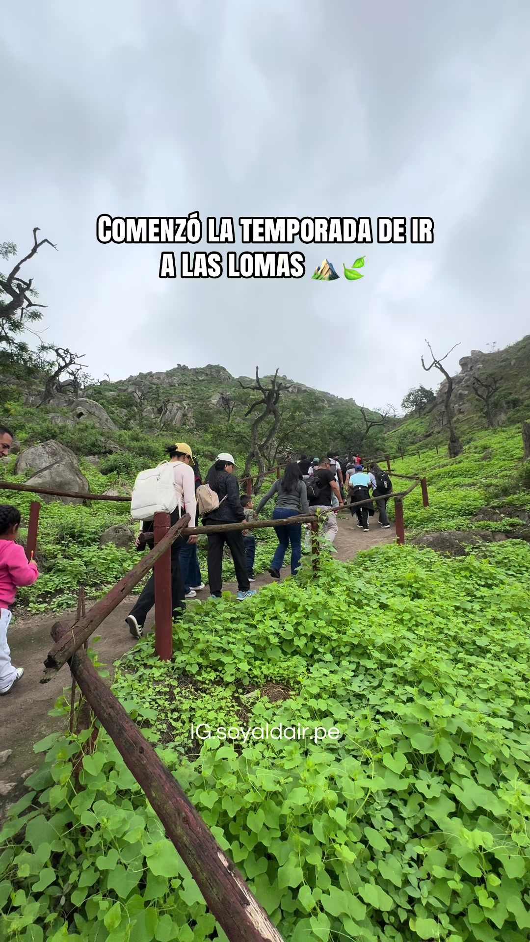 @Aldair Ramos