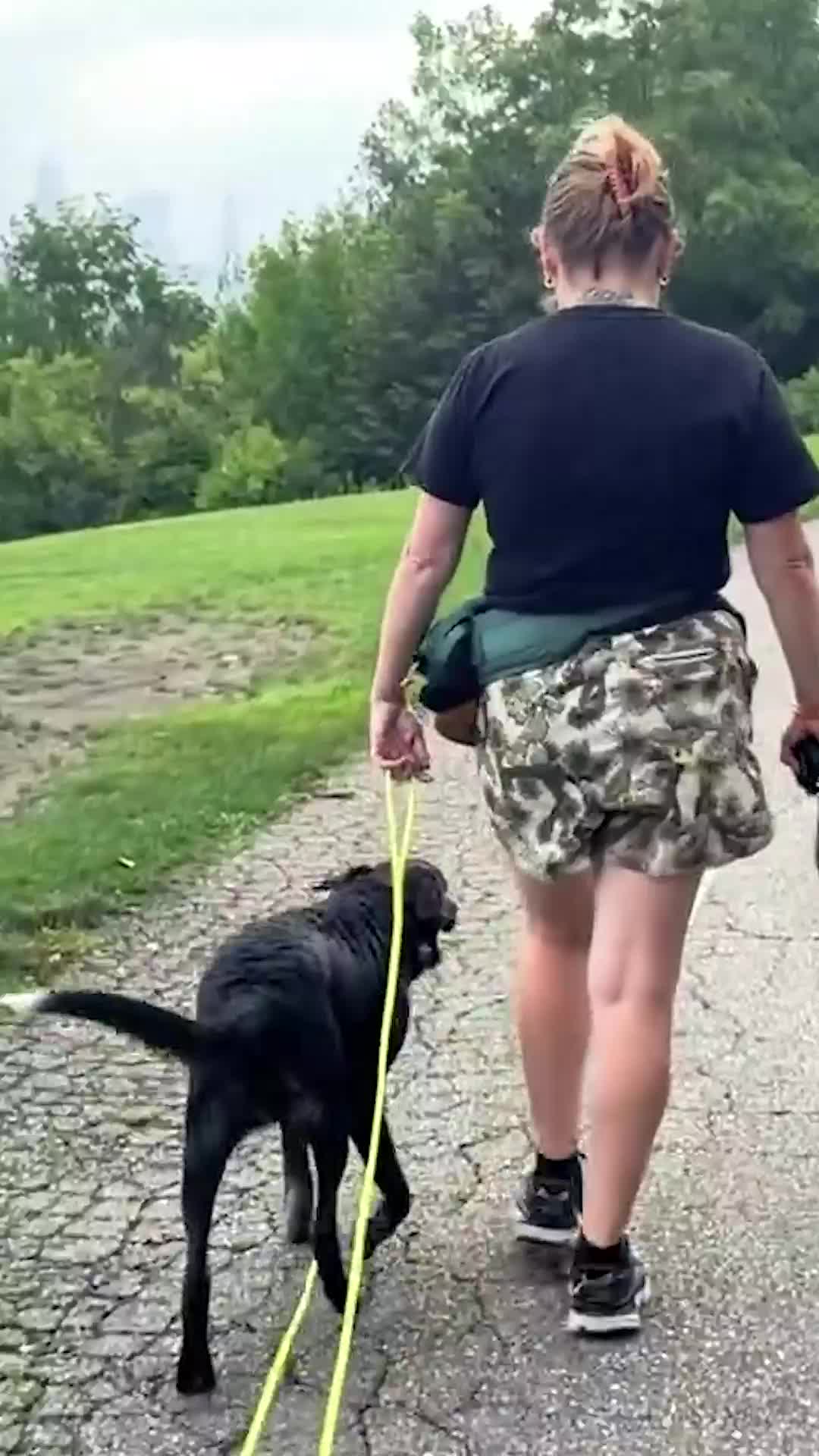 @Miracle K9 Training