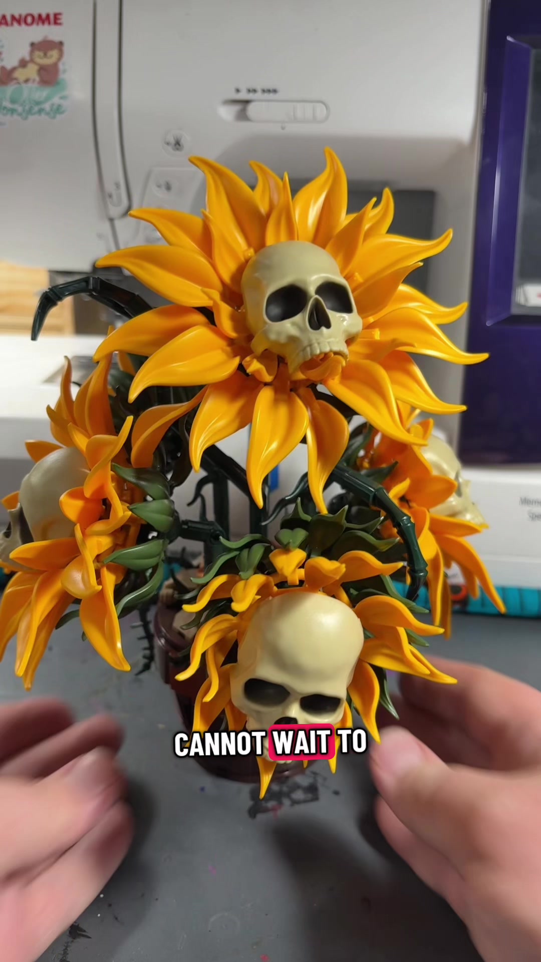 @SeaTrick