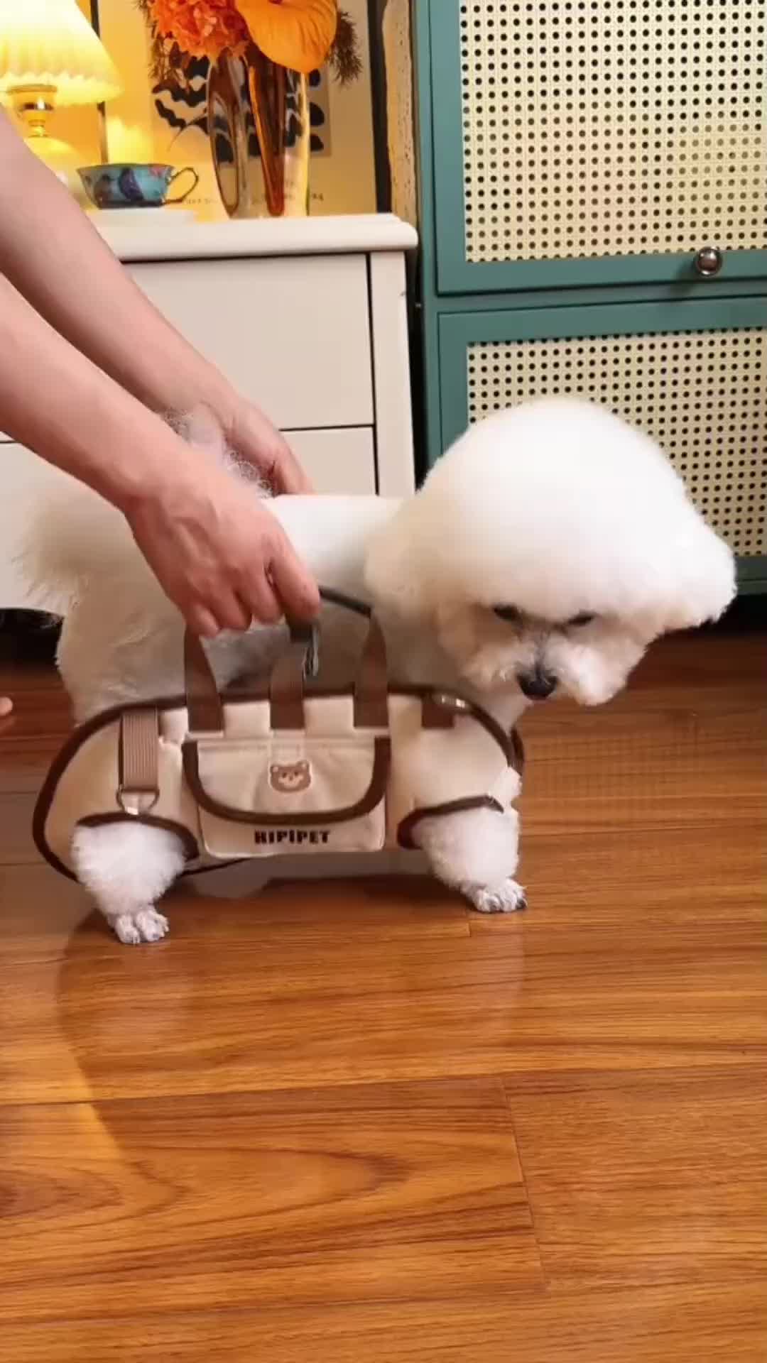 @Pet products