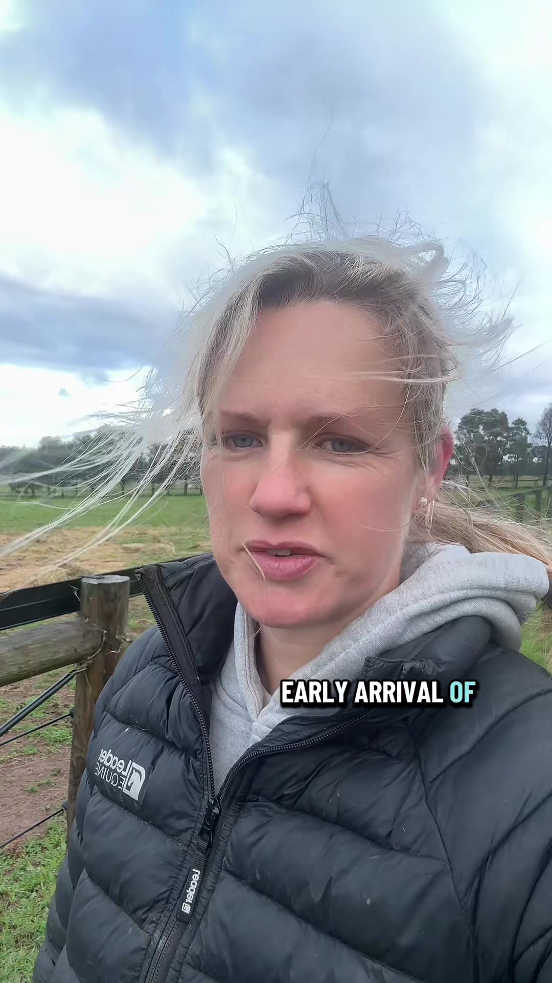 @Leader Equine