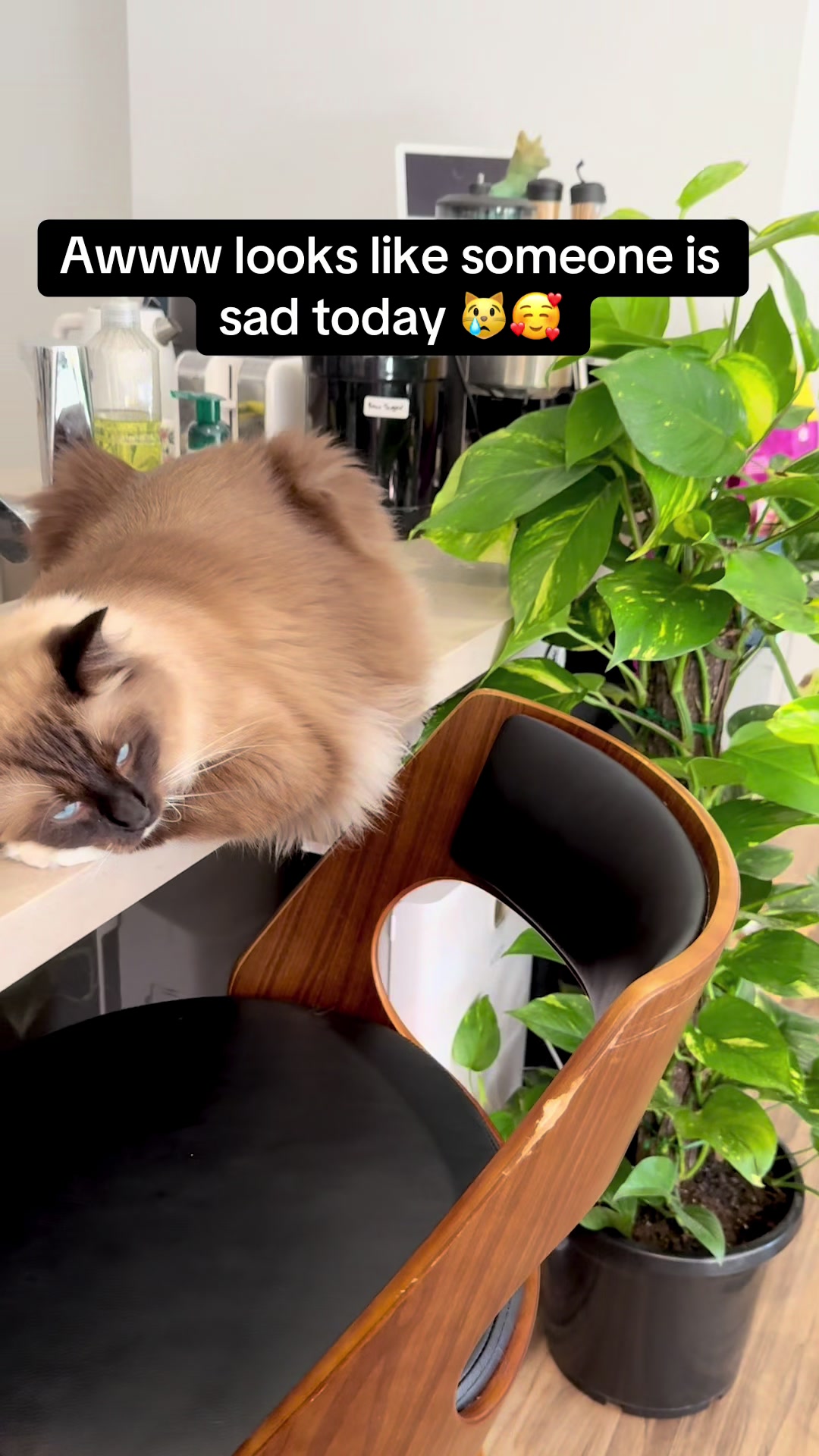 @Rina & Paul ๐ฐ๐ญ ๐ฆ๐บ๐