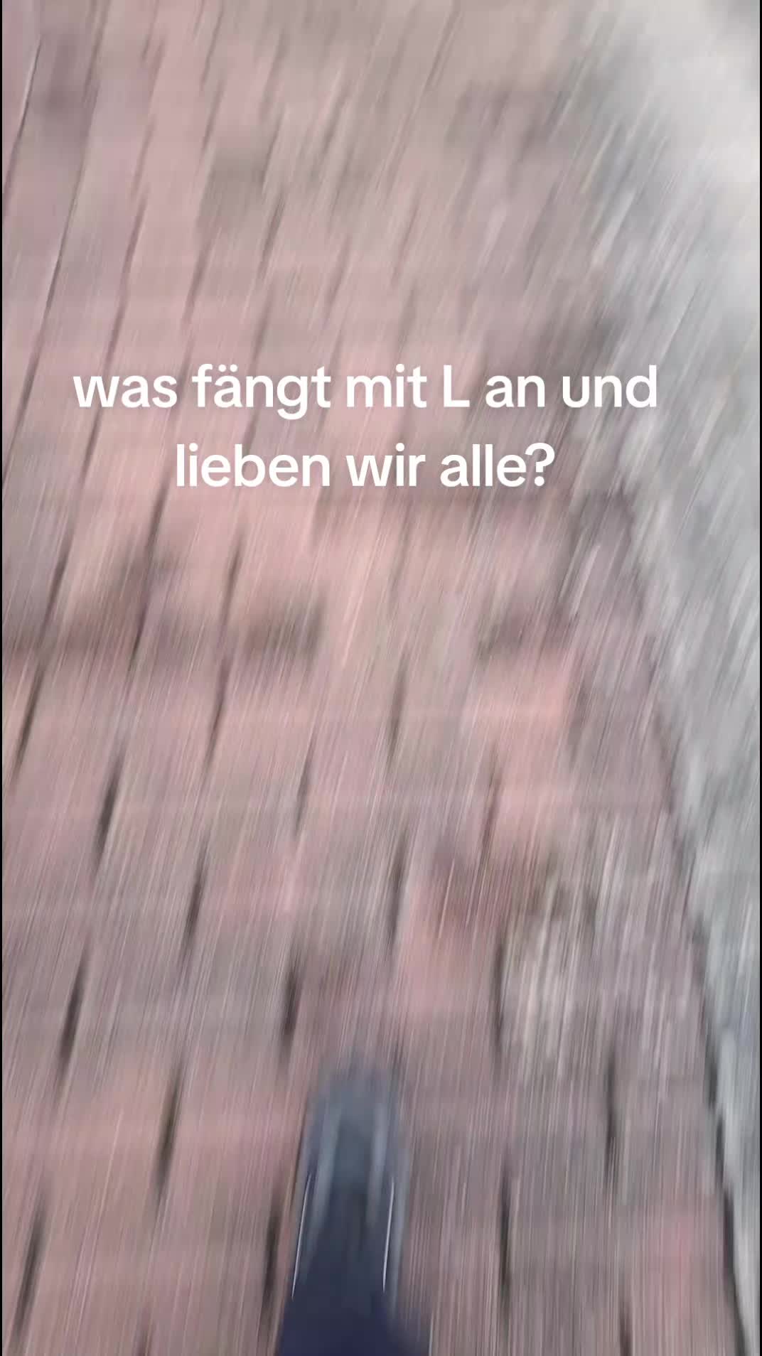 @Maxi.wob13