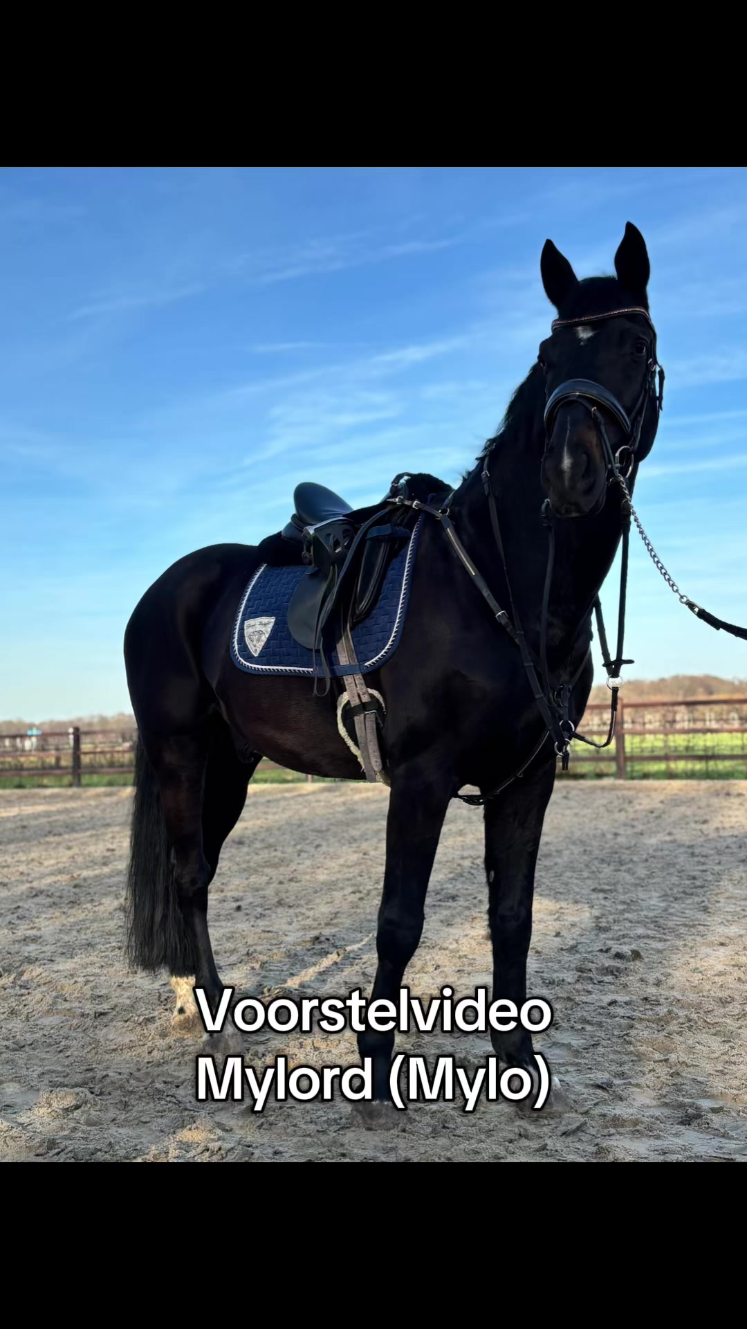 @Syrche Cordewener