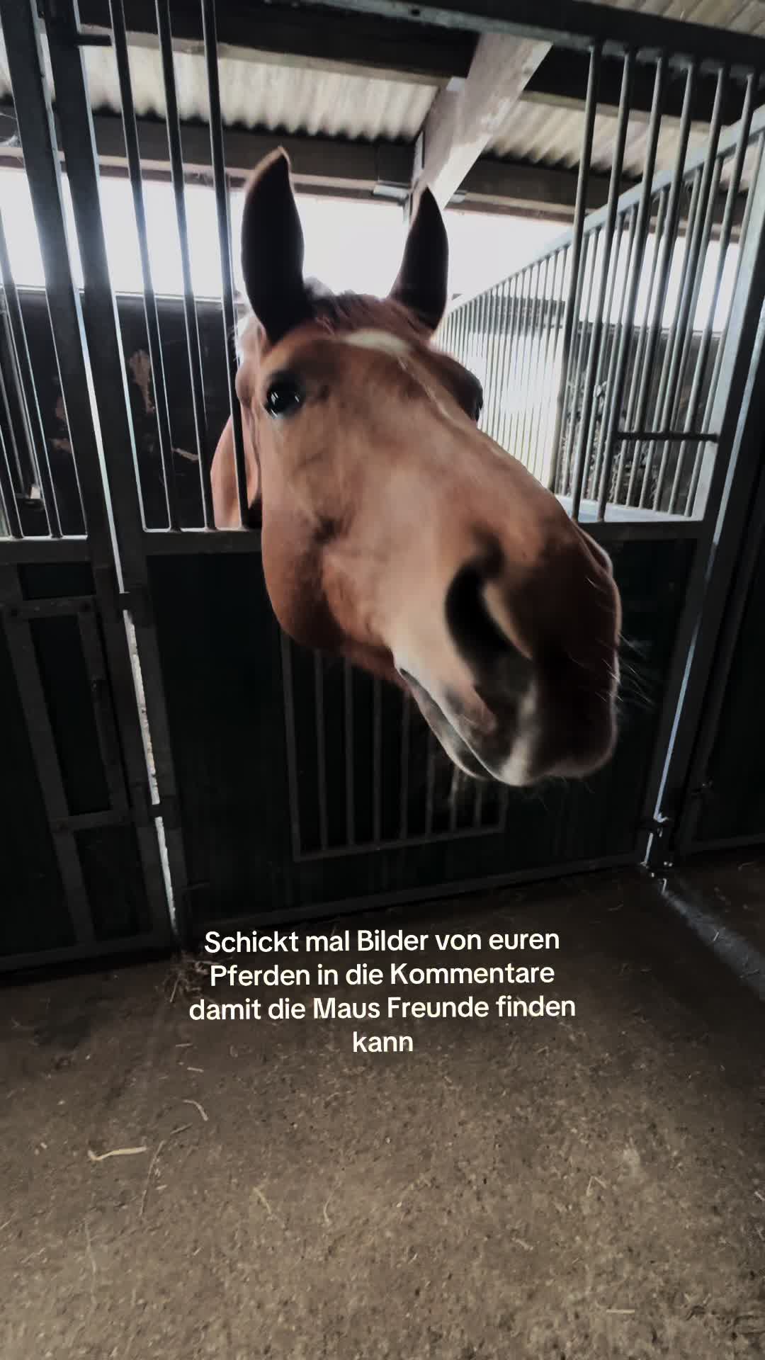 @Finja