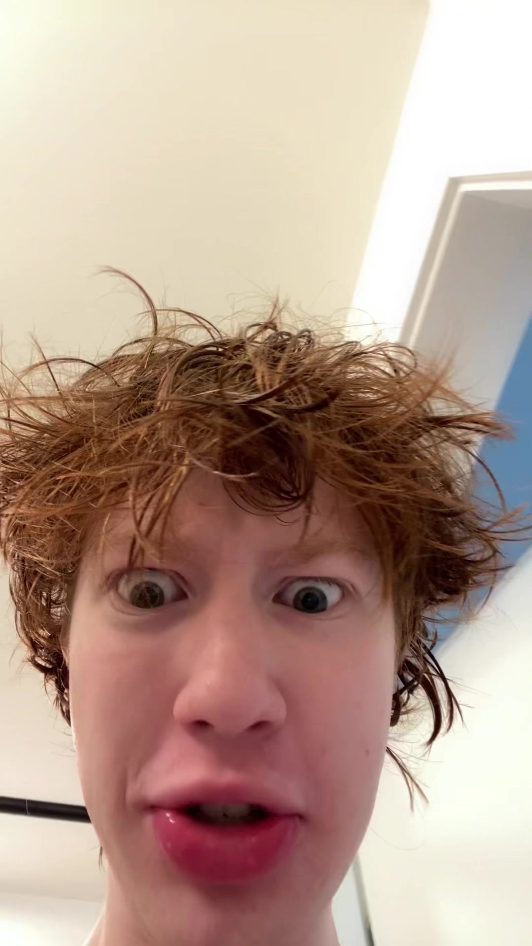 @gingercomics