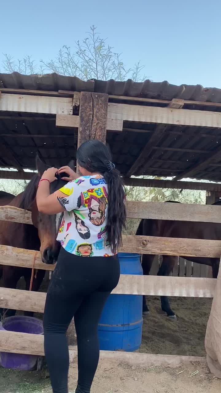 @nancycastelo