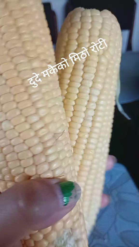 @Kala_781