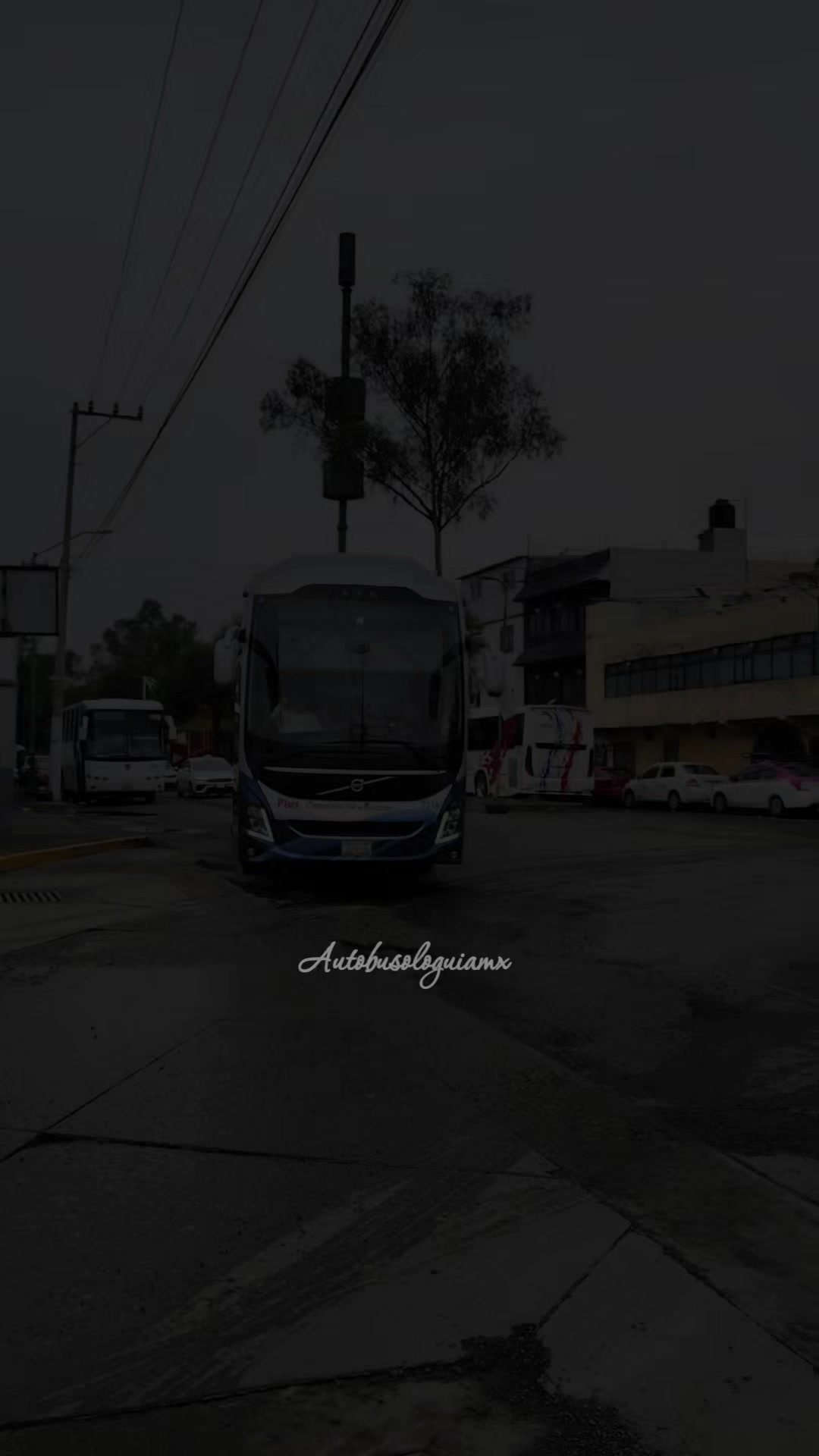 @🍁 " Autobusologuiamx " 🍁