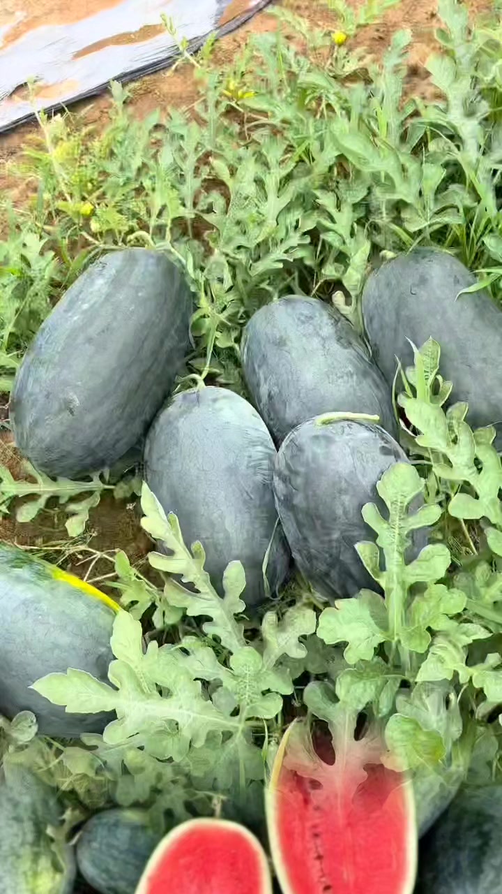 @tới đồ dùng