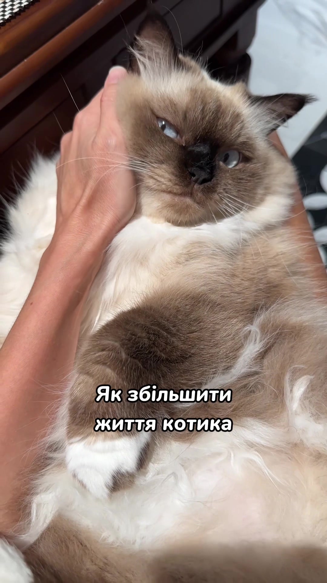 @Місс КІСЯ