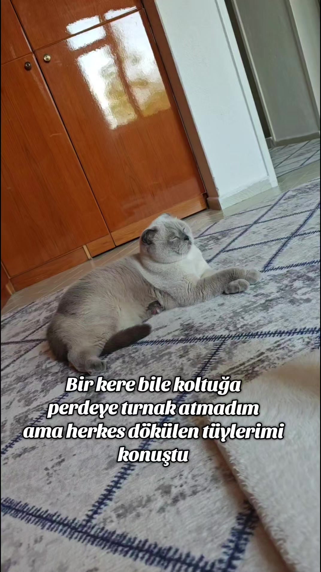 @💙SÜTLAÇ BEY💙