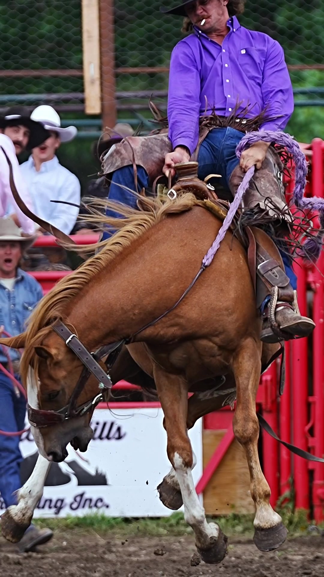 @Hanginghorses