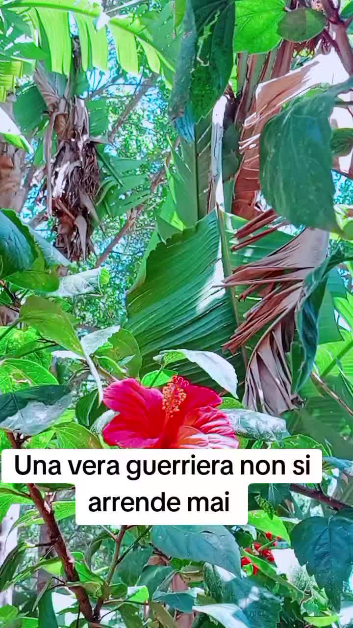 @Rita 68