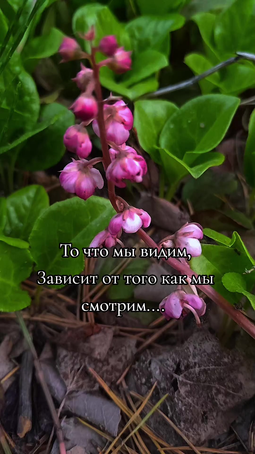 @❤️СеРдЦеЕдКа❤️