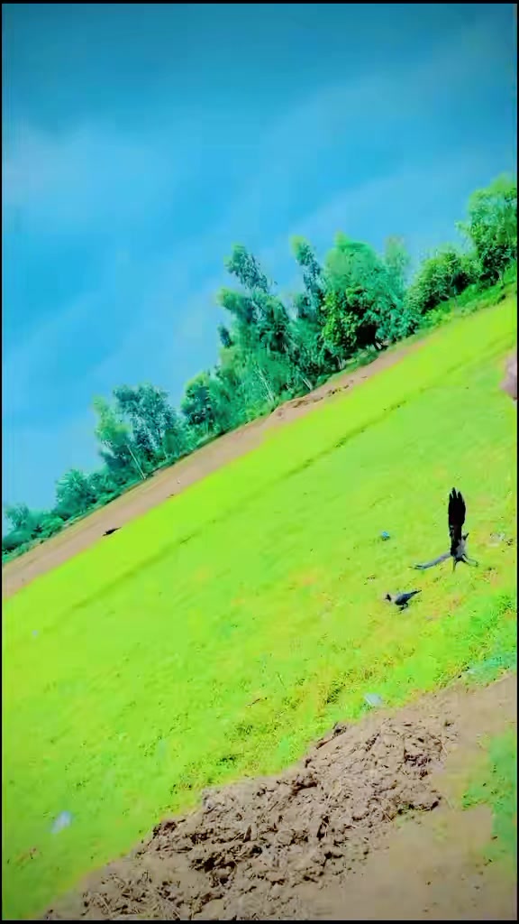@🔥 شوق اصیلاں دا 💫