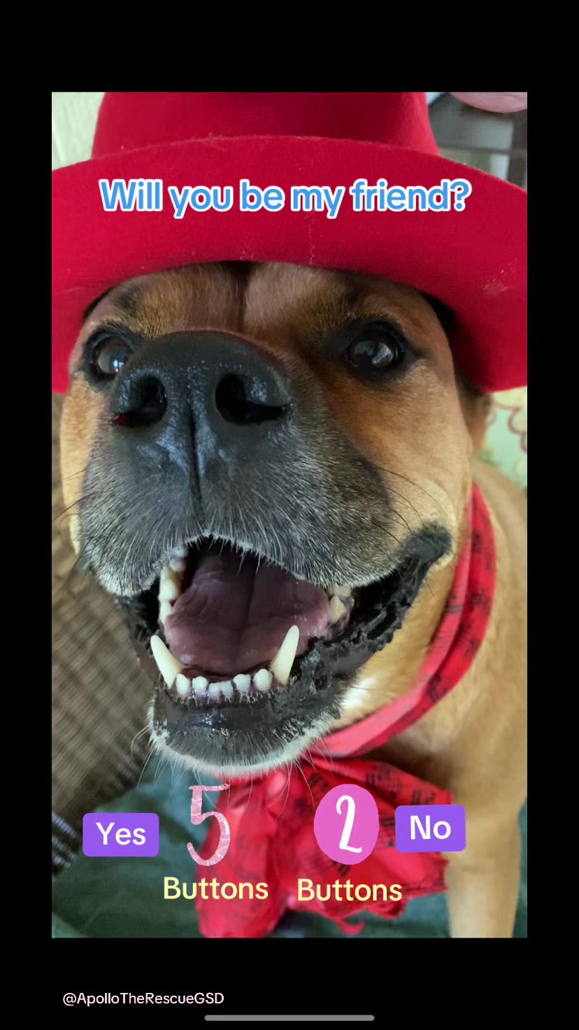 @Lovely Luna