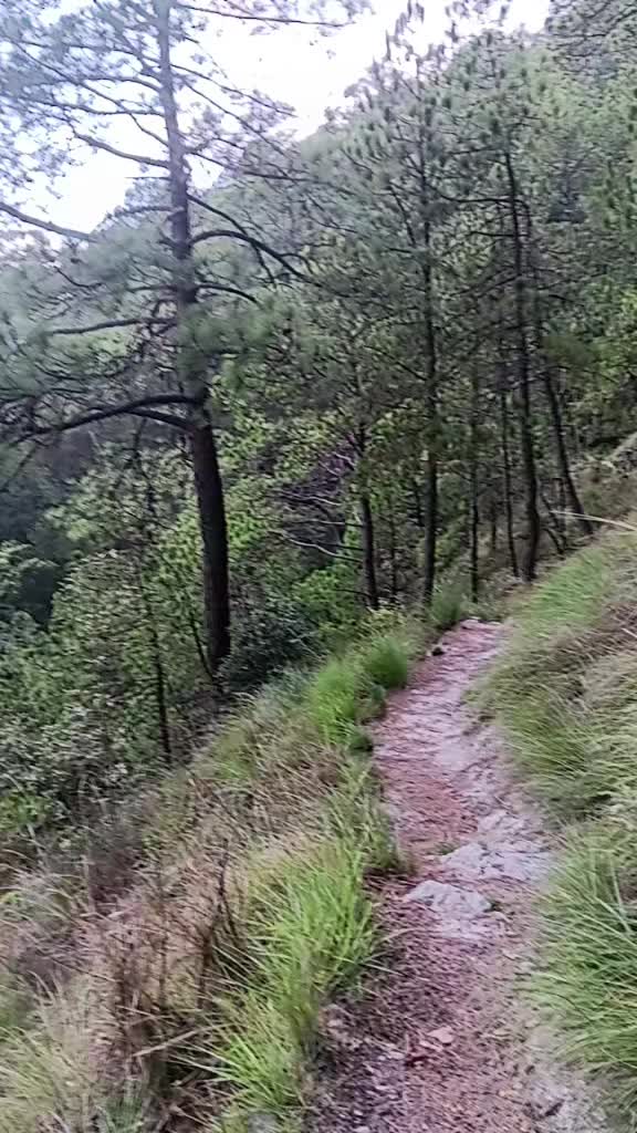 @thapasuresh748
