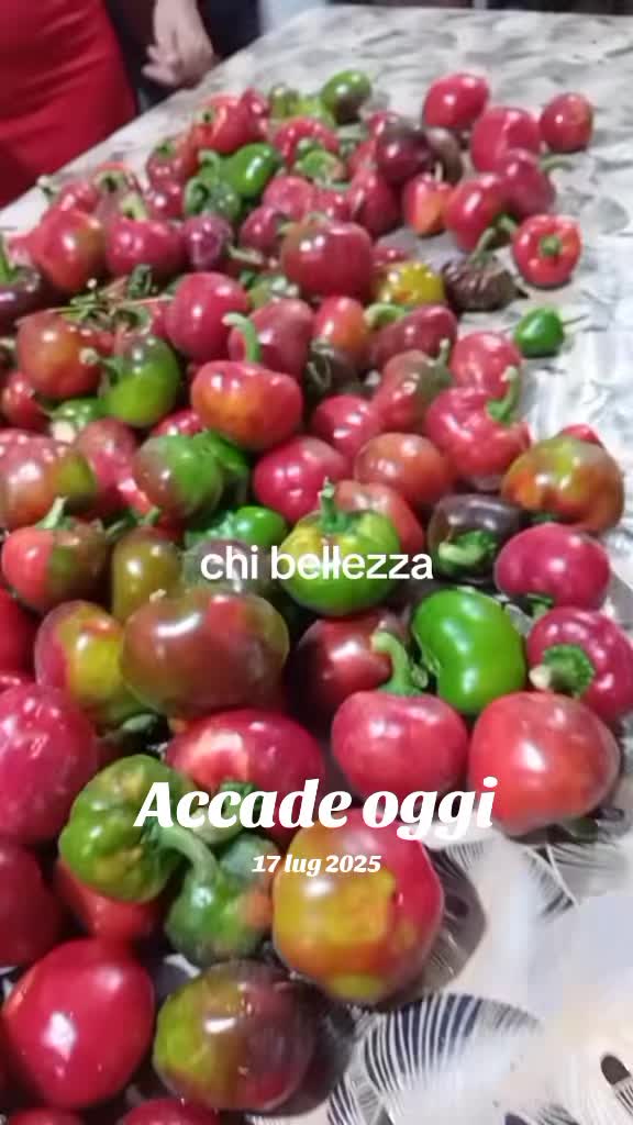 @massimomirenzio