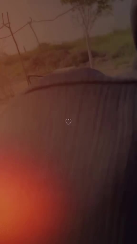 @🔥🦁راجپوت ذادی🦁🔥