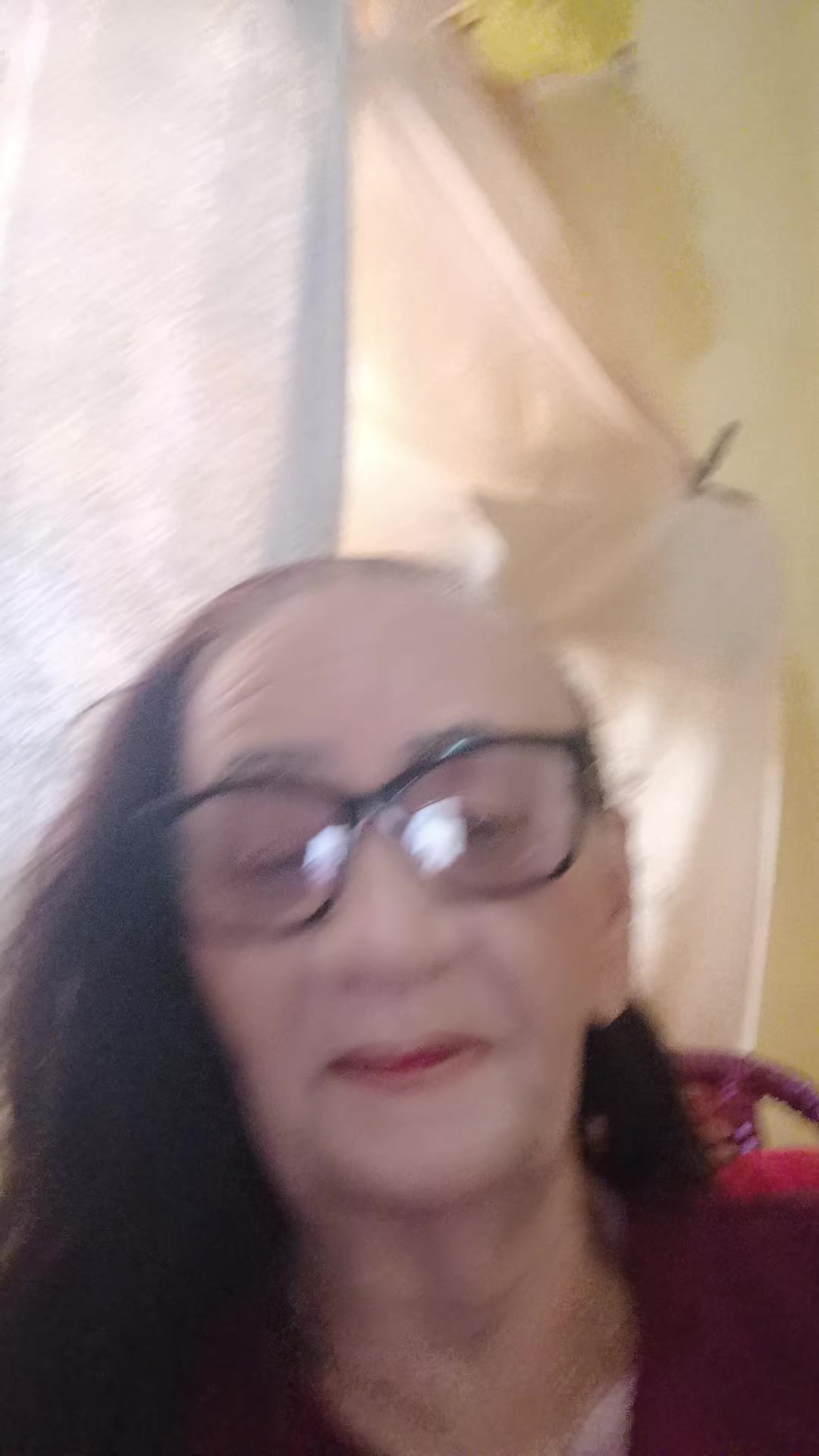 @dilzarodrigues657