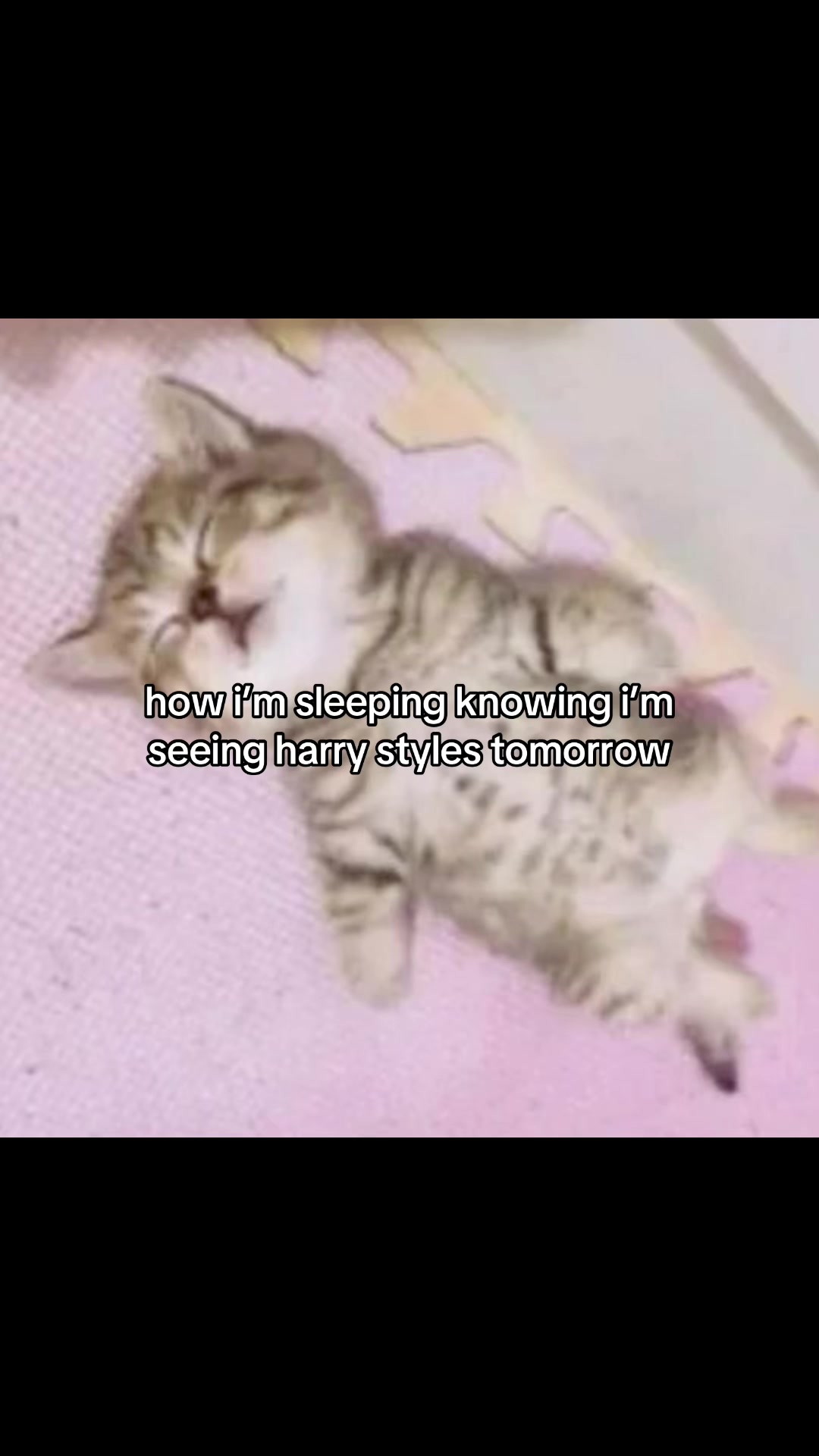 @Harry All The Time 🪩