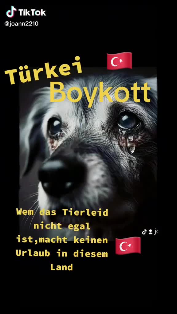 @Lua Team🐈🐕🦺Löwenherz❤️🦁