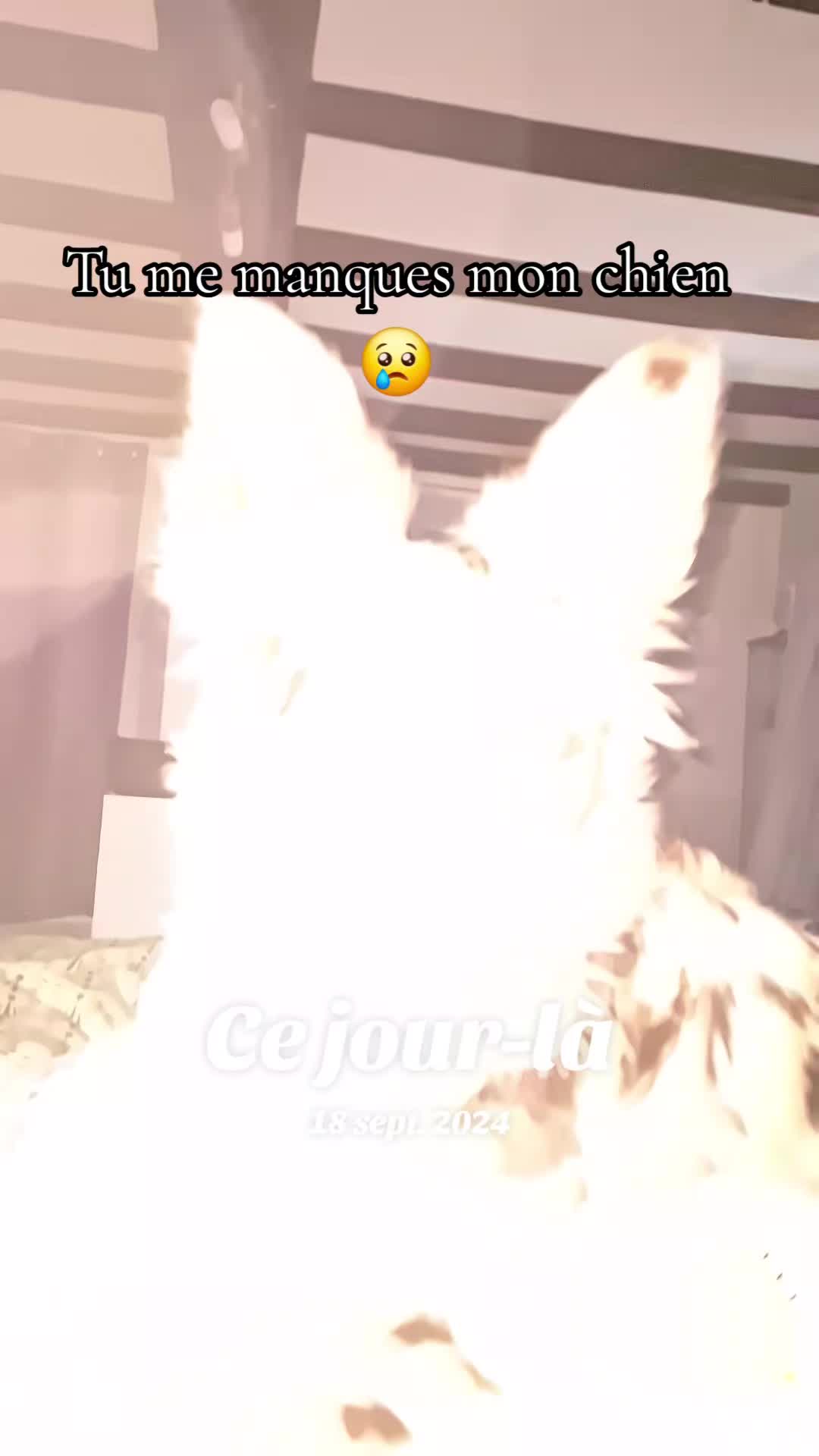 @Demoiselle17