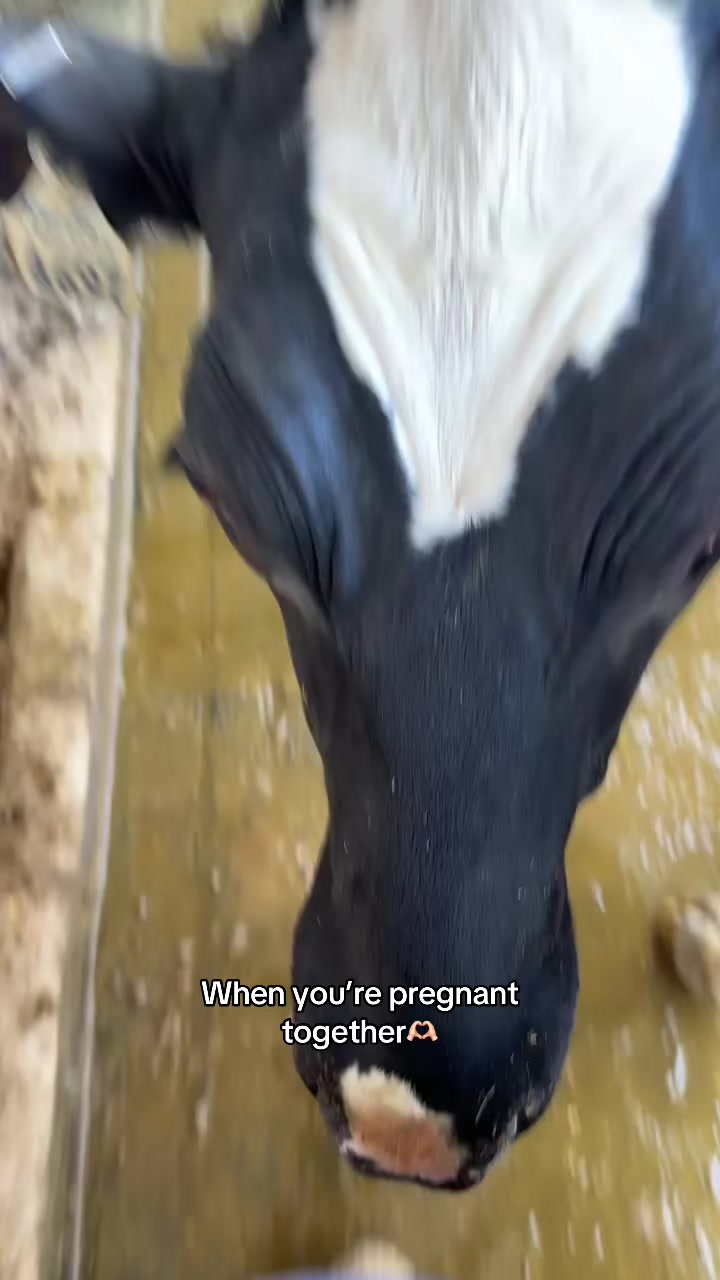 @Skylar