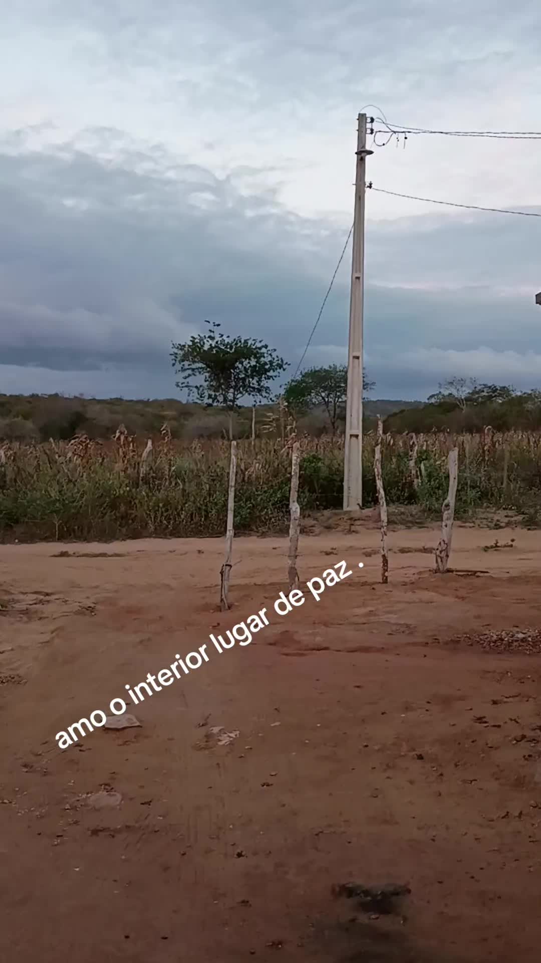@edgar