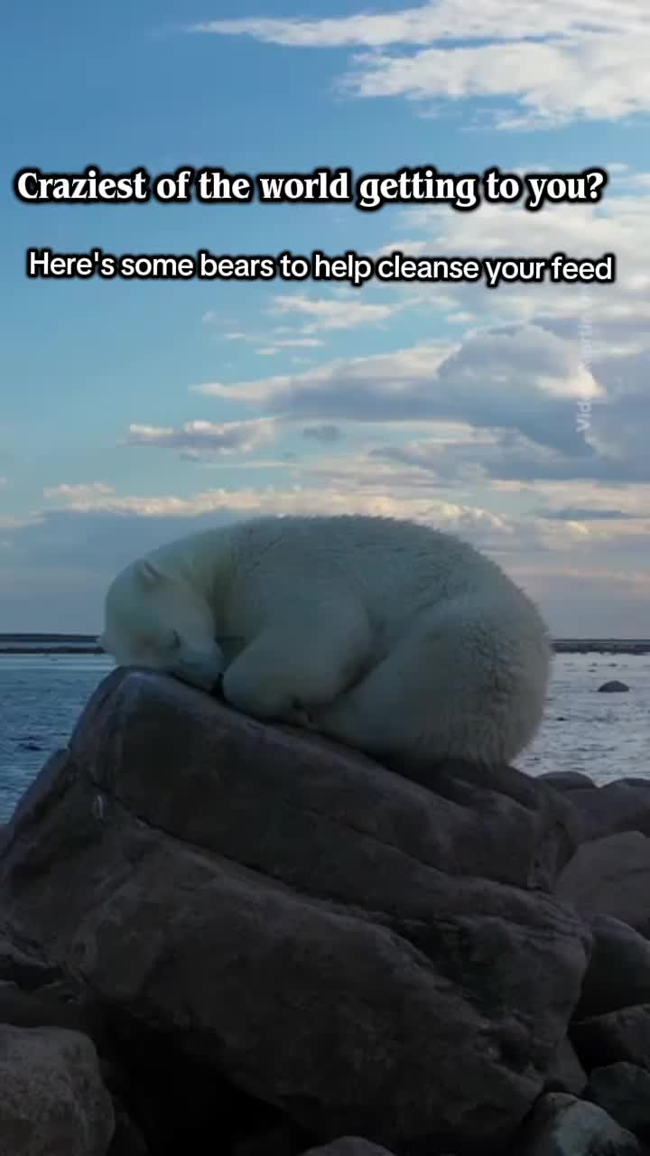 @Slothmymango