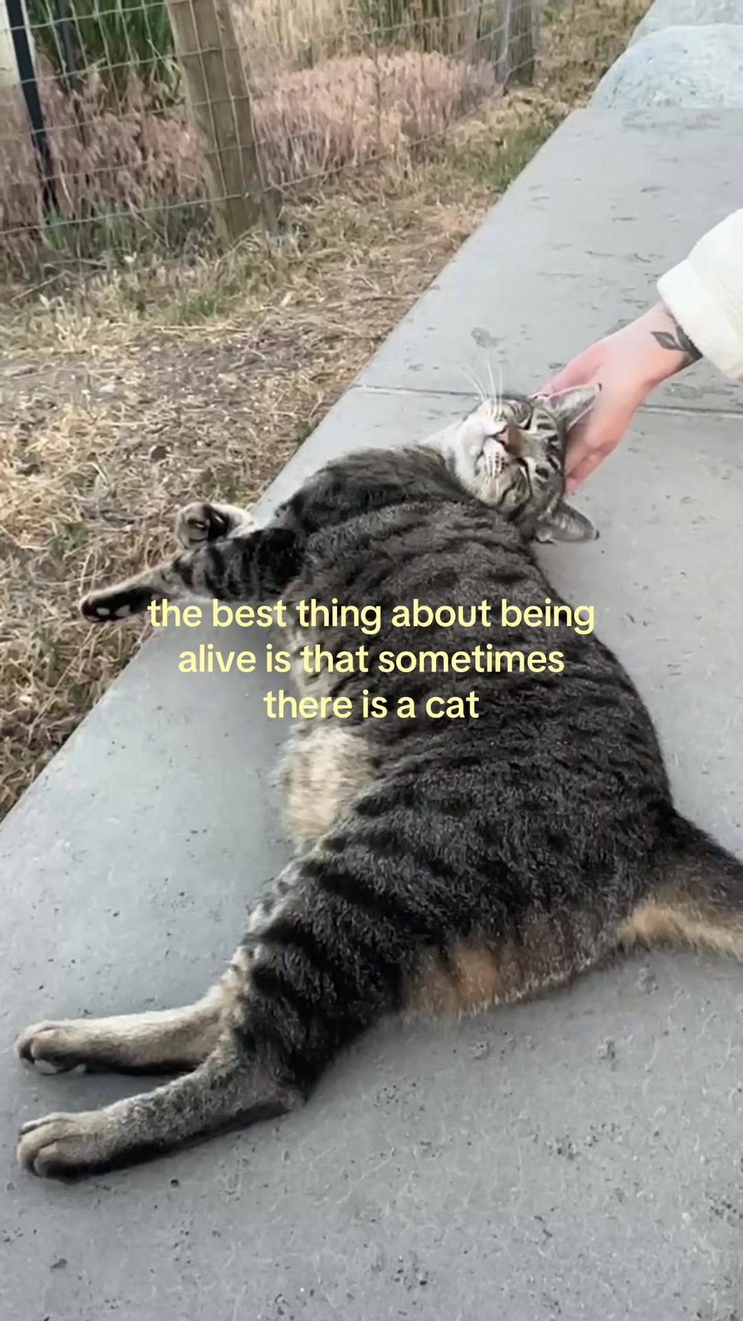 @mynameisnotdrew