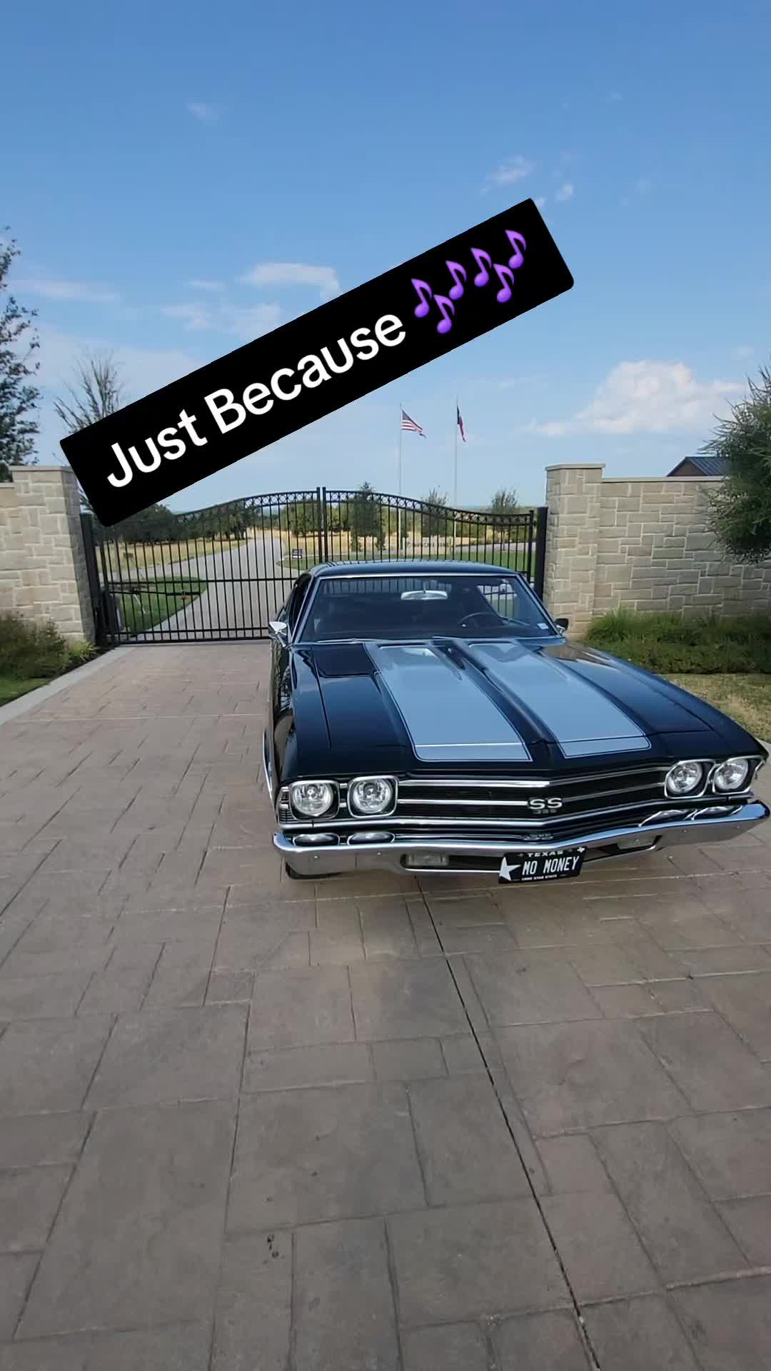 @MoMoney