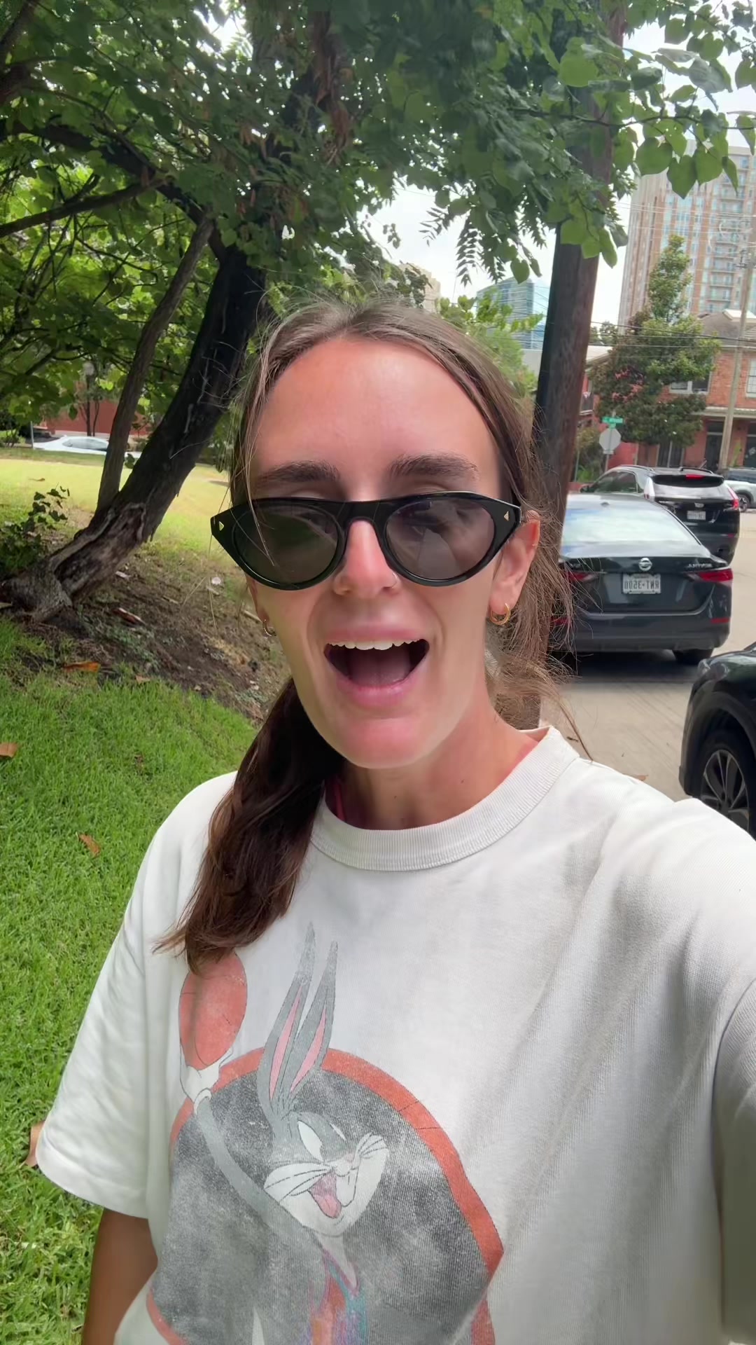 @dallasdogwalker