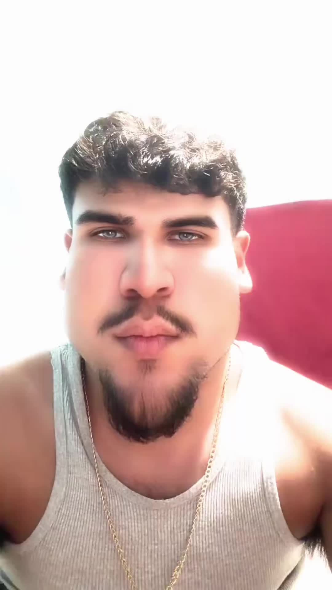 @Fallimento