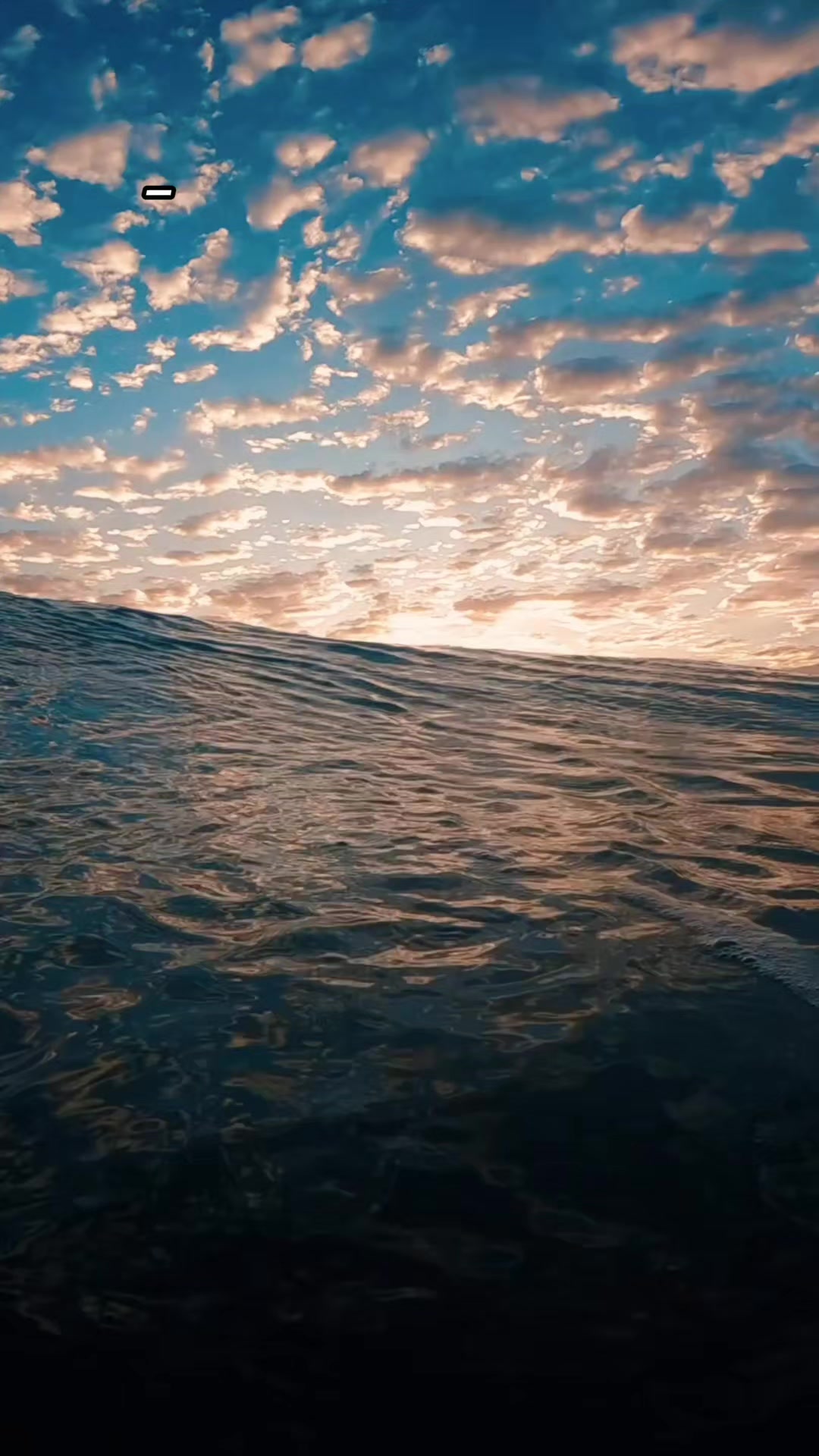 @Alejandro Silva
