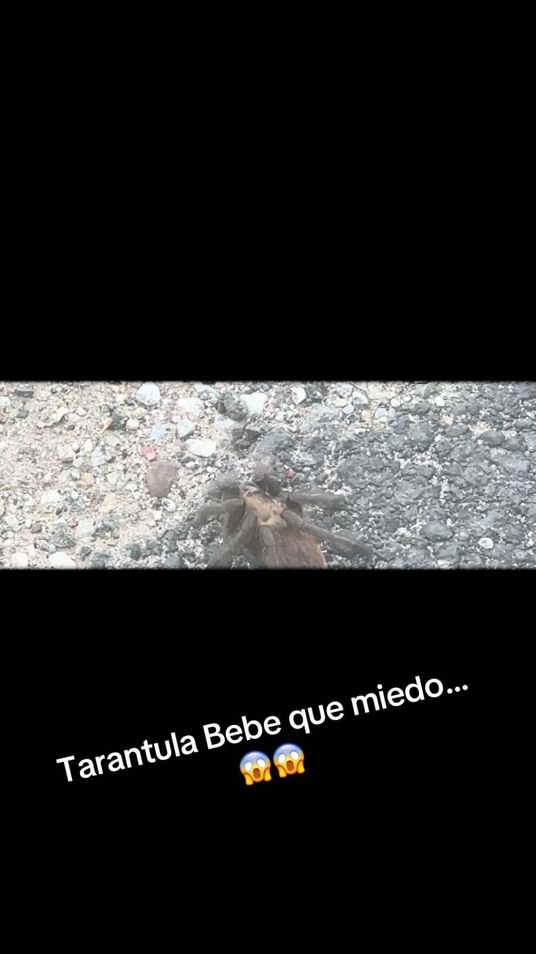 @Estela Martinez2512