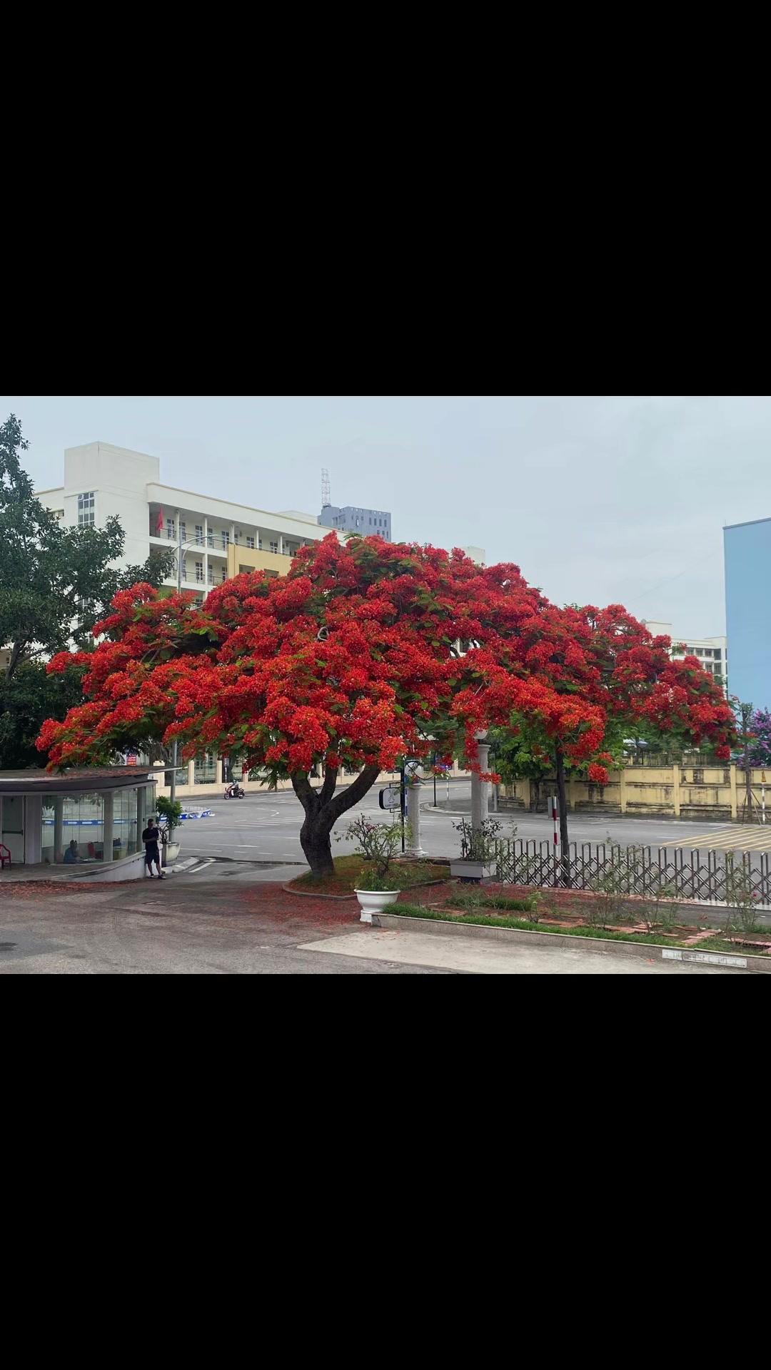@Phạm Văn Thảo