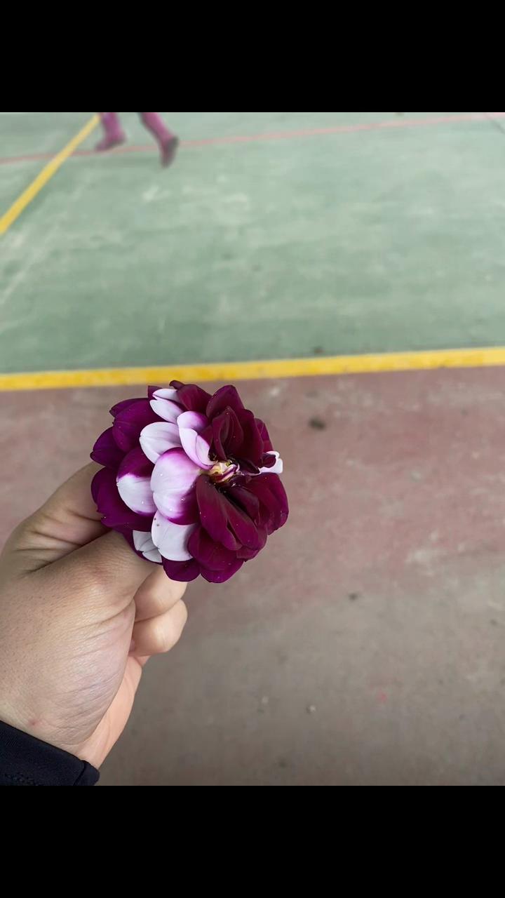 @anyicarrillo09