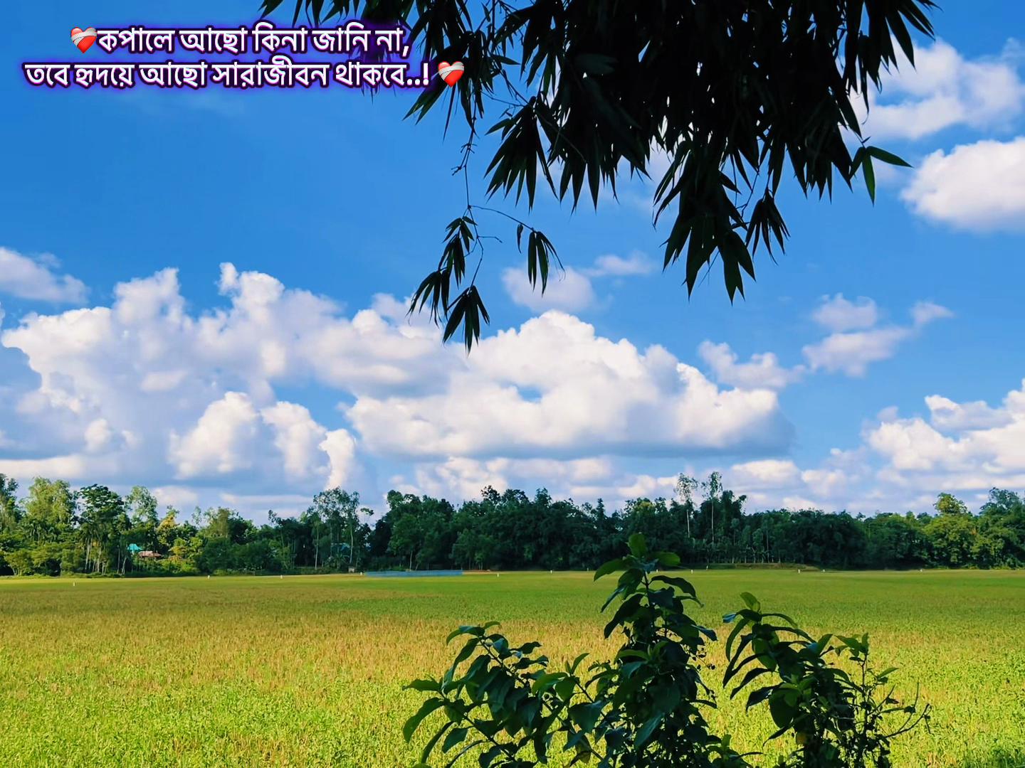 @hridoyahmed5552