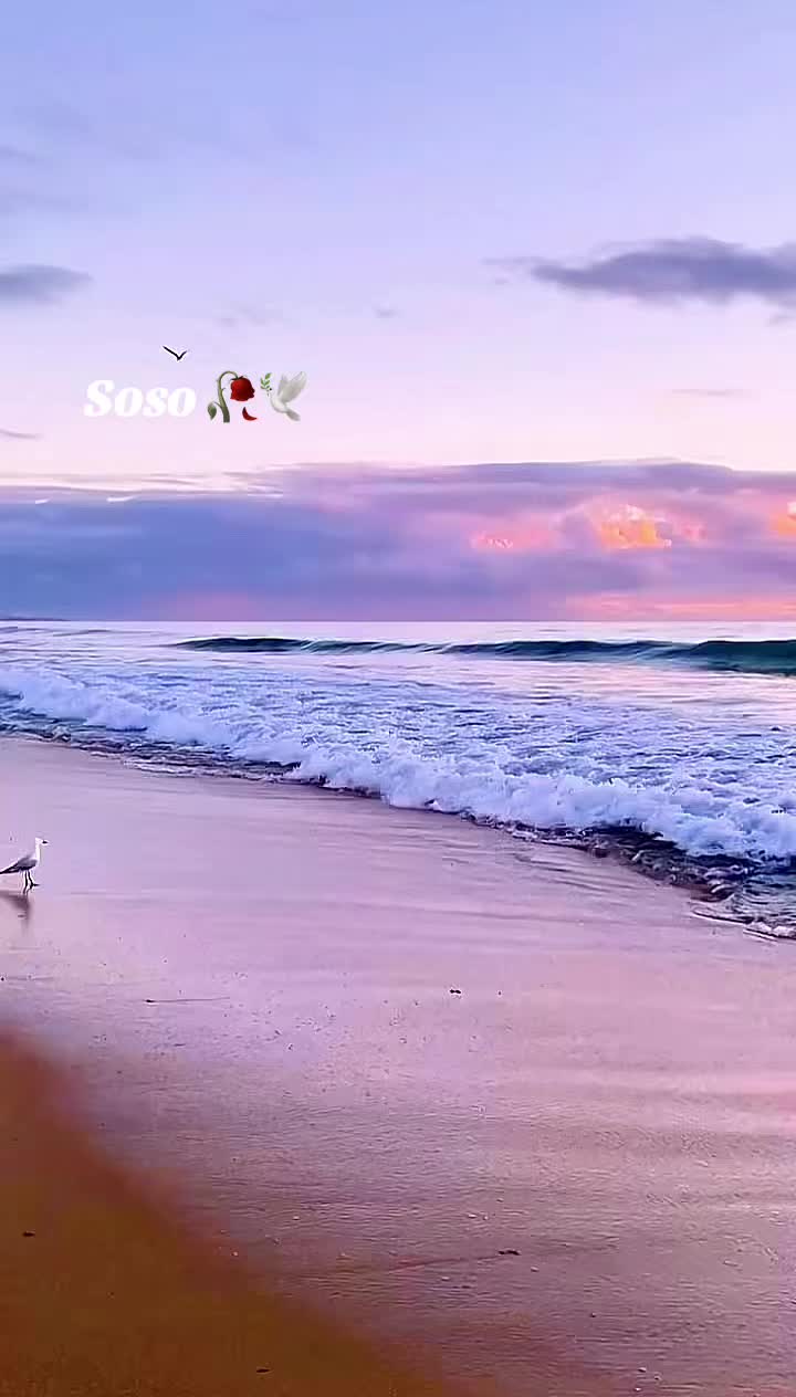 @༊෴✿ سوسو ✿〄࿐
