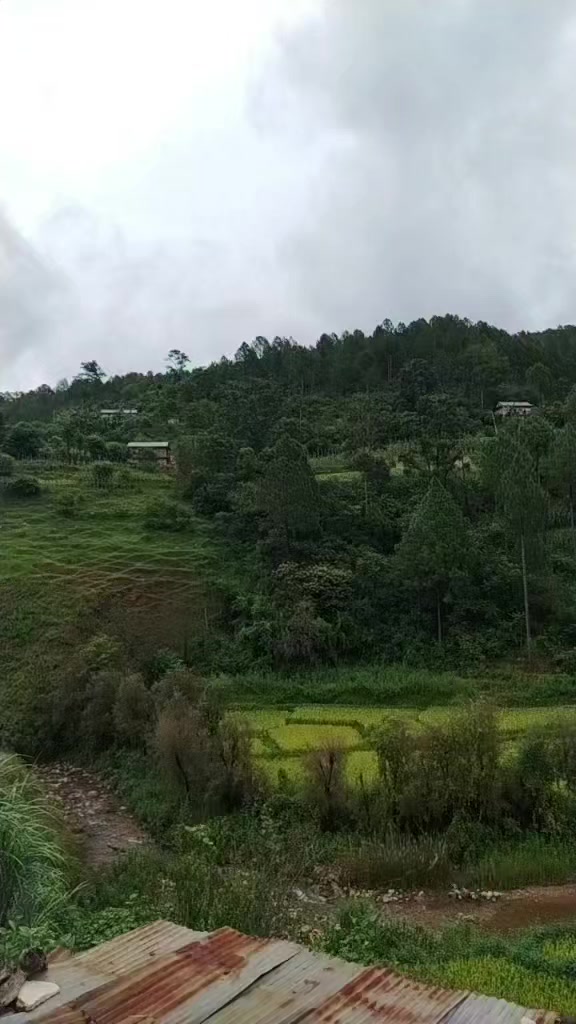 @Mansara Bhandari Kha