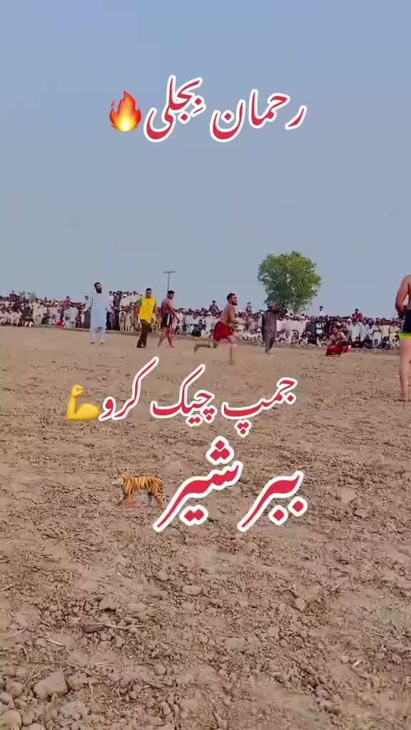 @bagli