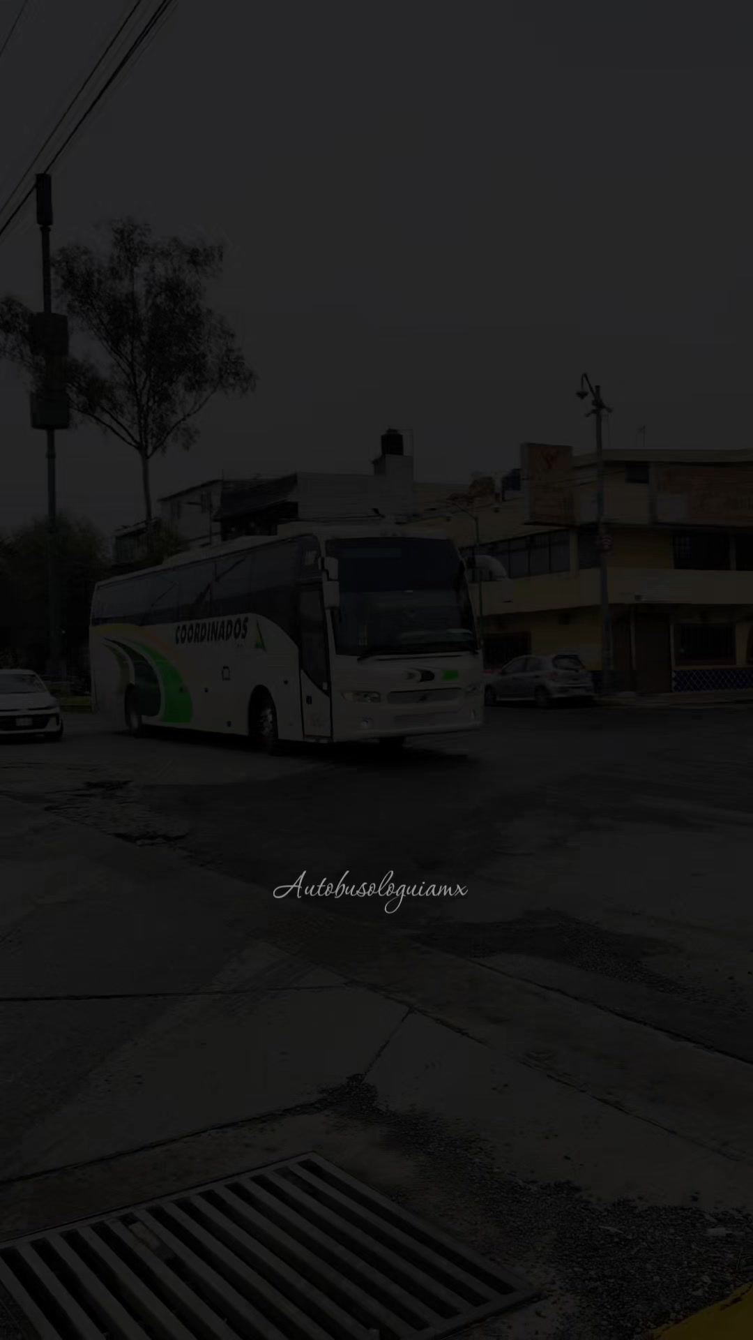 @🍁 " Autobusologuiamx " 🍁