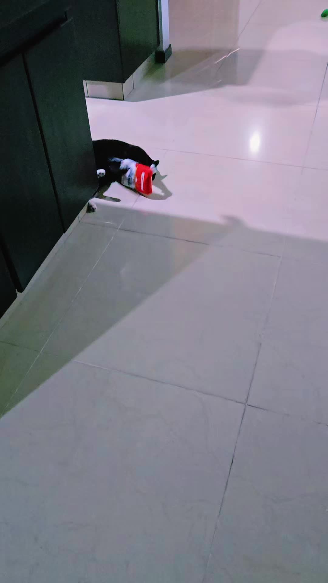 @Luna