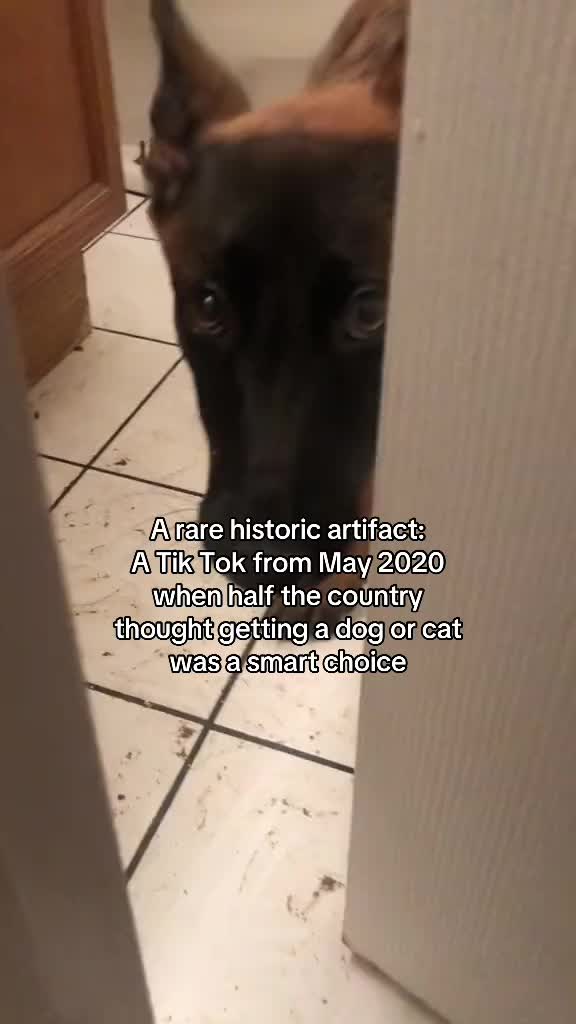 @B