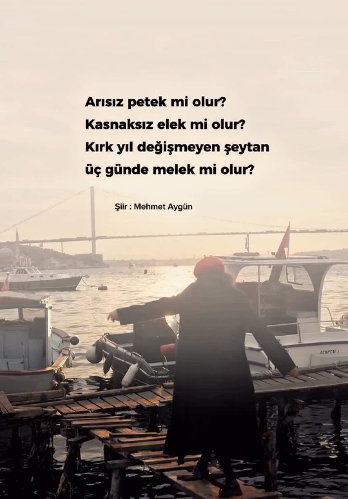 @Mehmet Aygün